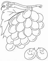 Grapes Coloring Pages For Kids sketch template