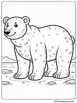 30  Free Printable Polar Bear Coloring Pages sketch template