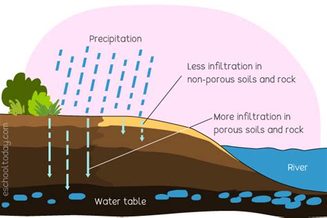 Infiltration Water Cycle Definition