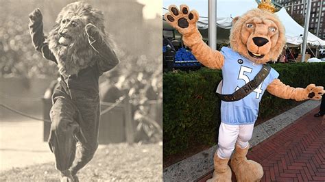 12 Photos That Show the Evolution of Columbia's Lion Mascot Over the Years | Columbia News