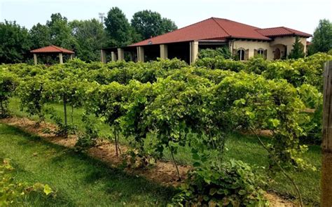 Tuscan Hills Winery Effingham Illinois: Guide To Tasting And Touring