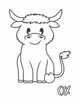 Ox Coloring Page sketch template