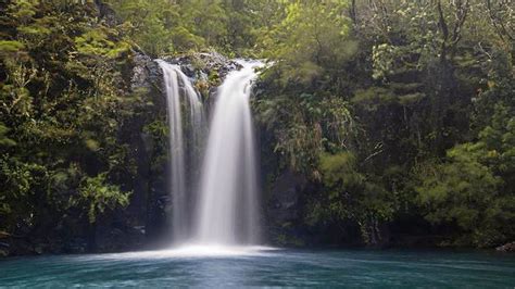 Petrohué Waterfalls Half-Day Tour