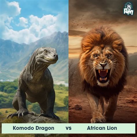 Komodo Dragon vs African Lion: See Who Wins | Animal Matchup