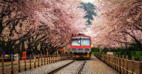 Ultimate Guide to Korail Pass: Price, Benefits, & Reservation