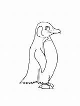 Penguin coloring Page sketch template