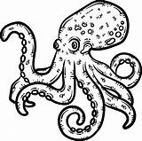 Octopus Coloring Page sketch template