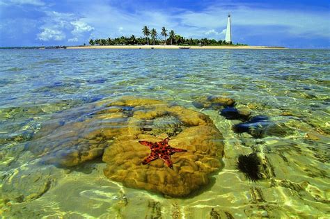 Tempat Wisata Alam Di Kalimantan