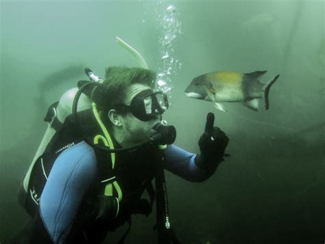 Scuba Certification - Snorkel San Diego