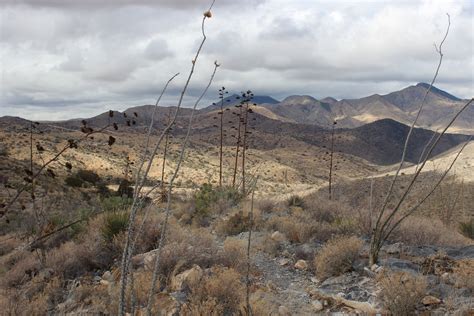 The Apache Wars Part I: Cochise - Chiricahua National Monument (U.S ...