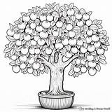 Lemon Coloring Pages  Free & Printable sketch template
