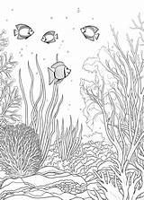 Premium Photo  Under The Sea Coloring Page Under Water Outline sketch template