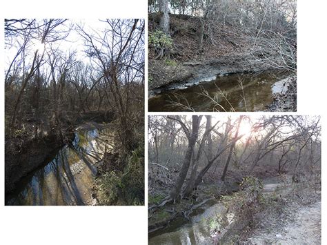 Experiencing Coppell Nature Park - DFW Urban Wildlife