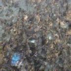 5 Green Granite Colors that Will Turn your Kitchen Beautiful