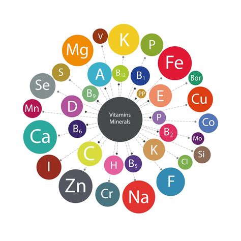 What Are Vitamins and Minerals & Their Differences? - SMP Nutra