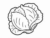 Cabbage Coloring Pages sketch template
