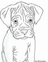 Boxer Puppy Coloring Pages At GetColoringscom  Free Printable sketch template