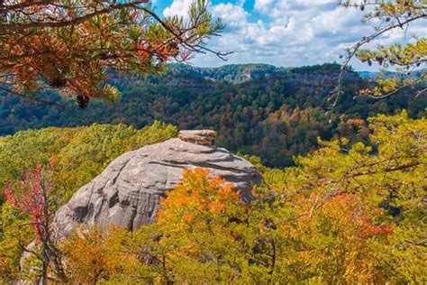 The Best Red River Gorge Camping - Professional Camping