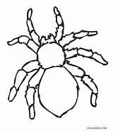 Printable Spider Coloring Pages sketch template