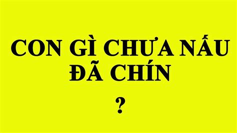 Câu Đố Vui Mẹo | Những câu đố mẹo hay, ngắn hack não - Phần 3 - Trochoihay.net