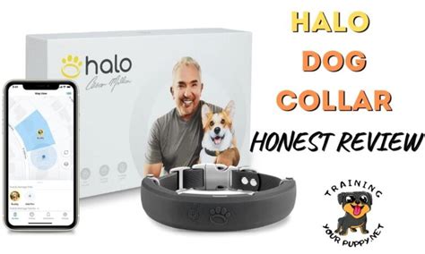 Halo Dog Collar Review: Is It Worth the Money? 2023