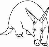 Print Out animal Aardvark coloring Page For KidsFree Kids Coloring sketch template