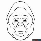 Gorilla Face Coloring Page  Easy Drawing Guides sketch template