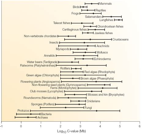 Extensive variation in genome size within and among the main groups of life | Learn Science at ...