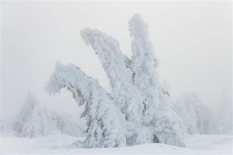 Harz Mountains - Germany (2022) : r/winterporn