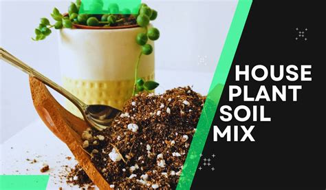 Houseplant Soil Mix | A Complete Guide + Best Soil Mix Suggestions ...