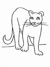 Cougar Animal coloring Page  free printable Pages On Colooricom sketch template