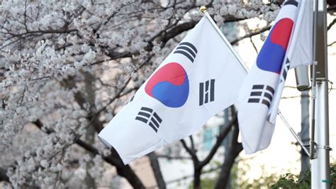 South korea flag Footage | Stock Clips