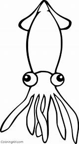 Squid Coloring Pages  Coloring Cool sketch template