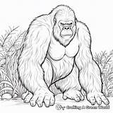 Ape Coloring Pages  Free & Printable sketch template