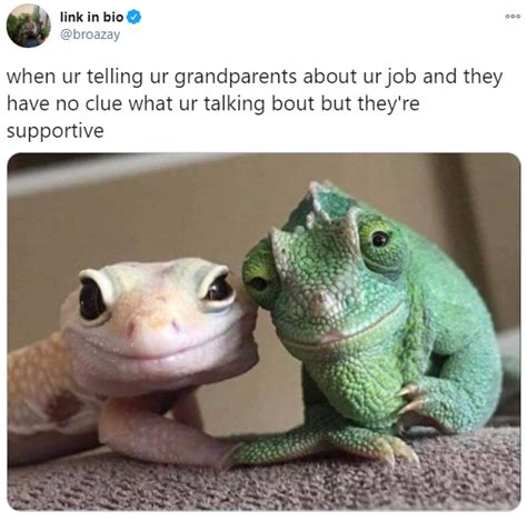 supportive grandparent lizards | Smiling Lizard Couple | Know Your Meme