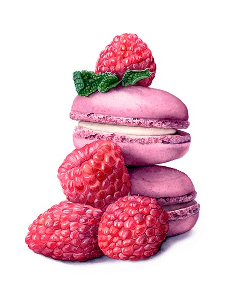 Macaroon drawing – Artofit