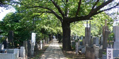 Yanaka Reien - Oasis of calm and beauty in the centre of Tokyo ...