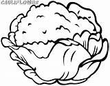 Free Cauliflower Coloring Page  Printable Pages For Kids sketch template