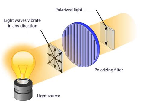 Polarization of Light Interactive Demo