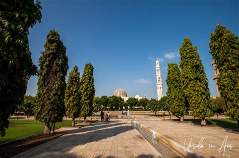 Lines and Curves and Sacred Spaces: Two Muscat Mosques, Oman » Ursula's Weekly Wanders