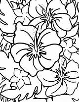 Hawaiian Flower Coloring Pages sketch template