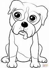 Boxer Puppy coloring Page  Free Printable Coloring Pages sketch template