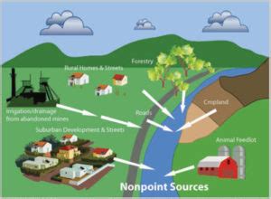 Non-Point Source Pollution – Flathead Conservation District