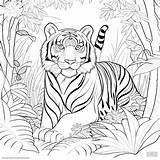 51000  Coloring Jungle Pictures sketch template