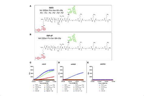 | FAP3 assessment against FAP-sP demonstrates FAP specificity. (A) The ...