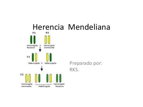 Herencia mendeliana