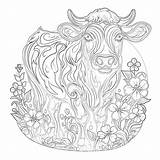Cow Coloring Page  Pages Mimi Panda sketch template