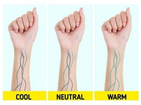 A Guide On How To Know Your Skin Tone And Undertone