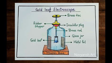 Functions Of Parts Of A Gold Leaf Electroscope - Infoupdate.org