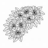 Beautiful Flowers Of Gerbera daisy coloring Page drawing Detailed In  sketch template